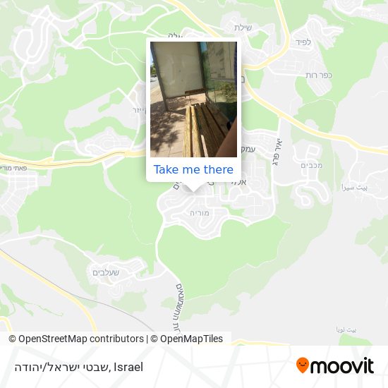 שבטי ישראל/יהודה map