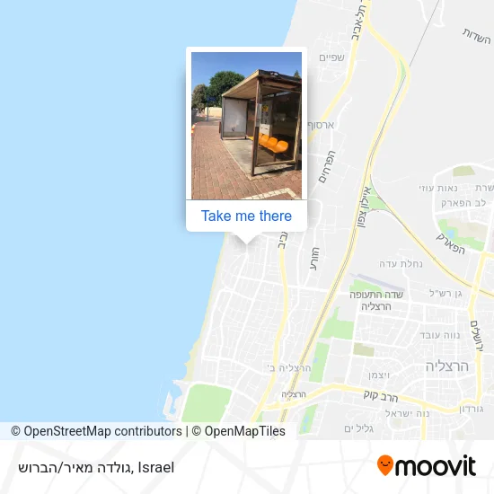 Карта גולדה מאיר/הברוש