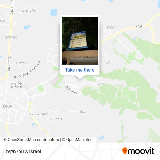 Карта עגור/צוקית