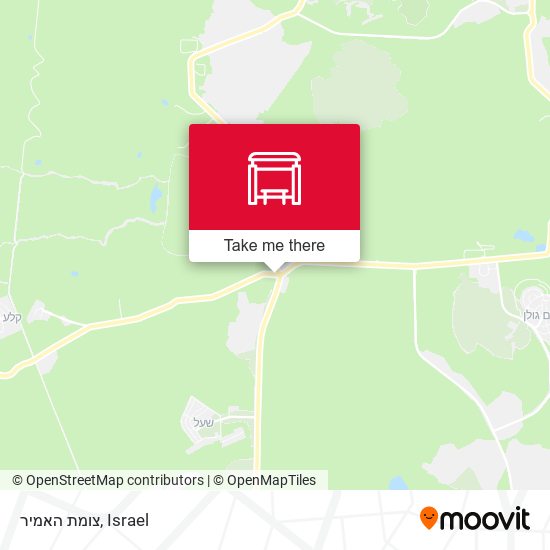 צומת האמיר map