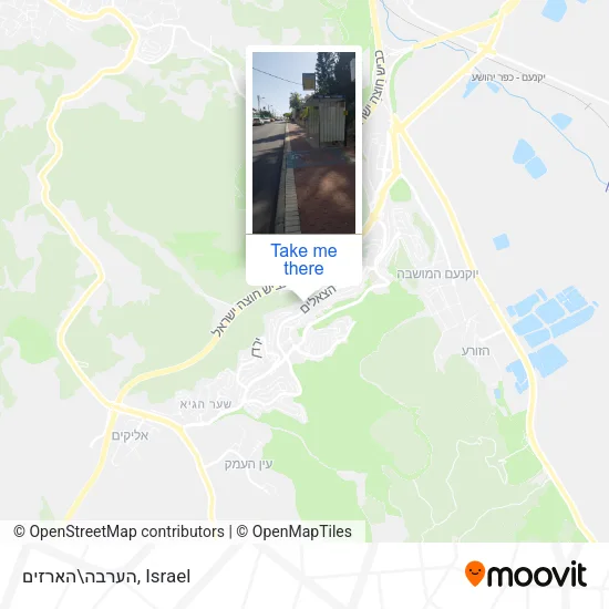 Карта הערבה\הארזים