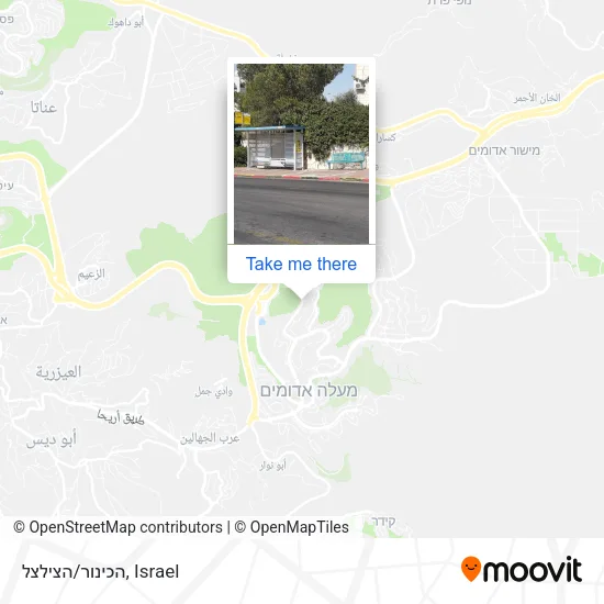 Карта הכינור/הצילצל