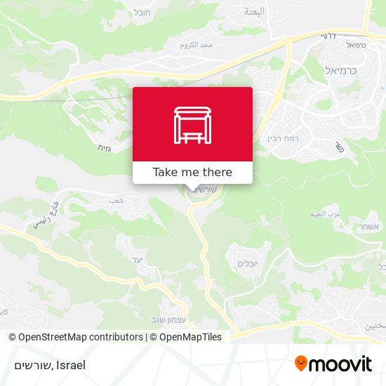 שורשים map
