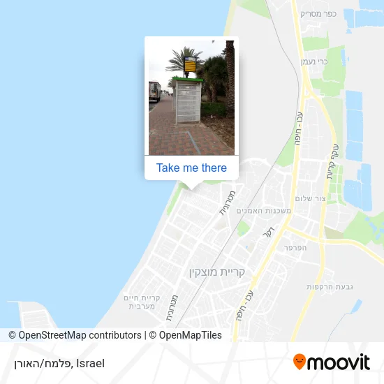 פלמח/האורן map