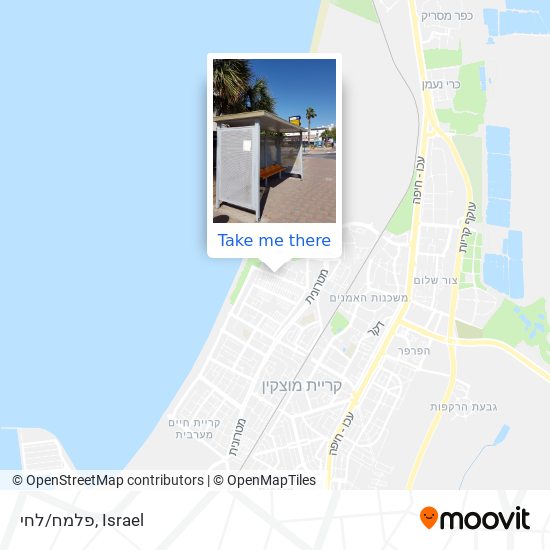 פלמח/לחי map
