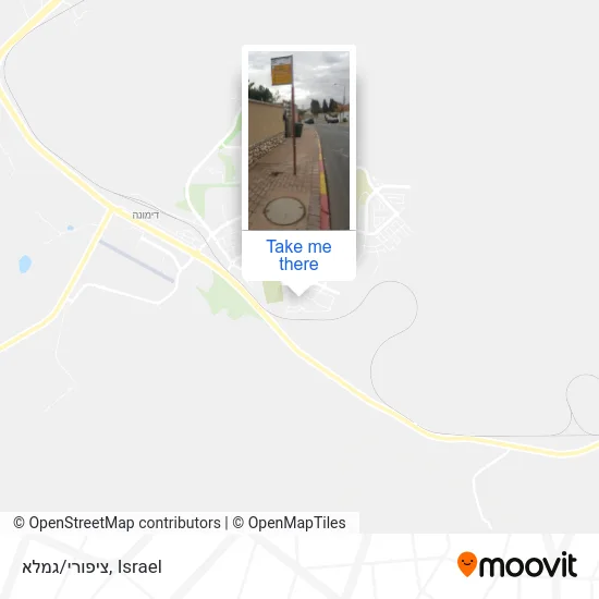 Карта ציפורי/גמלא