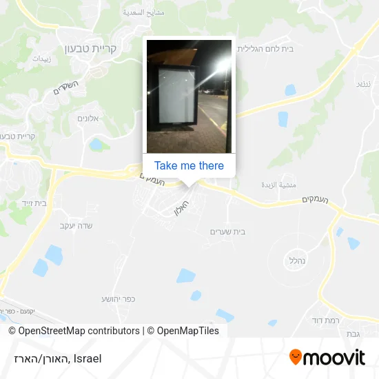 Карта האורן/הארז
