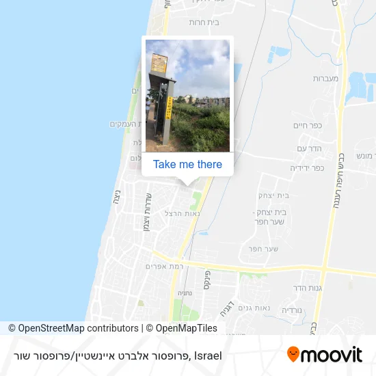 Карта פרופסור אלברט איינשטיין / פרופסור שור