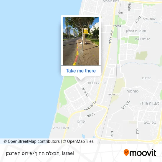 Карта חבצלת החוף/אירוס הארגמן