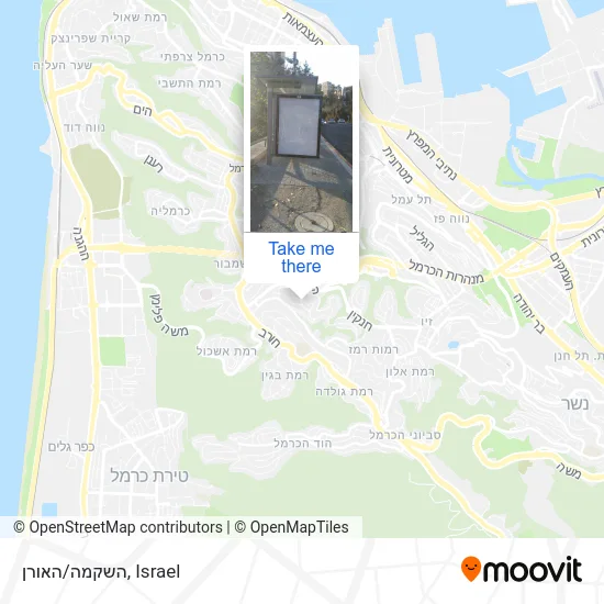 Карта השקמה/האורן