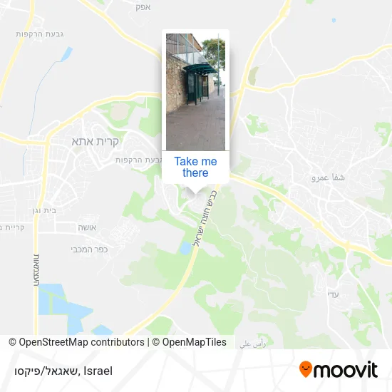 Карта שאגאל/פיקסו