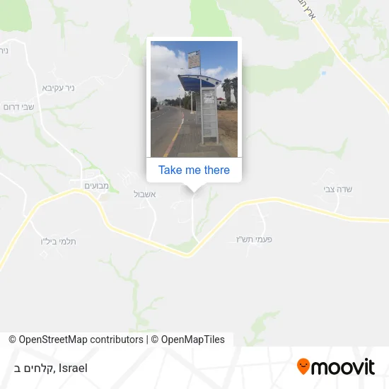 Карта קלחים ב