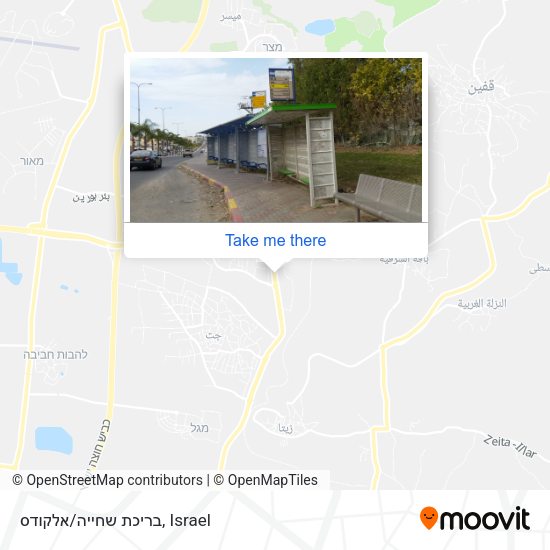 בריכת שחייה/אלקודס map