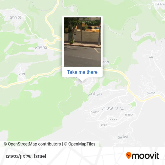 Карта שלמון/נטפים