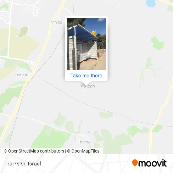 Карта תלמי יפה