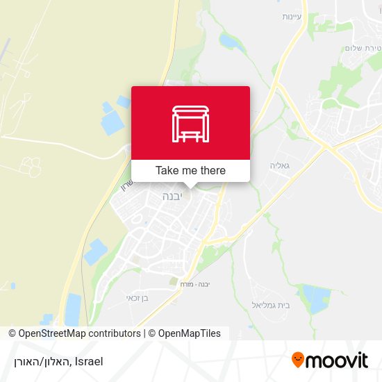 Карта האלון/האורן
