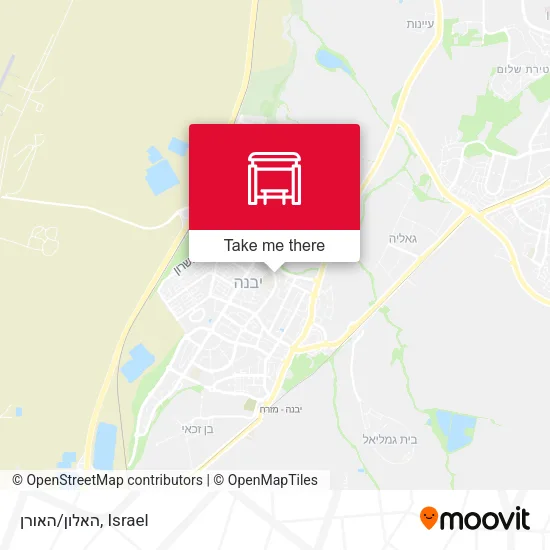 Карта האלון/האורן
