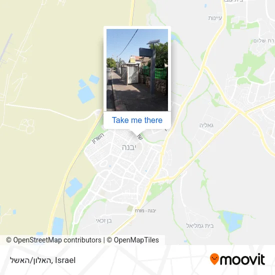 Карта האלון/האשל