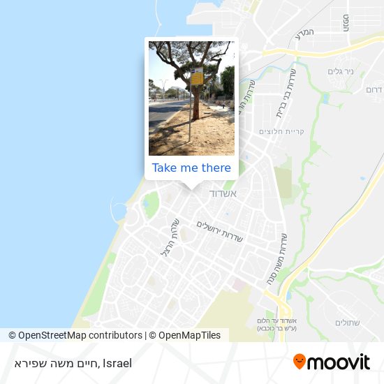 Карта חיים משה שפירא