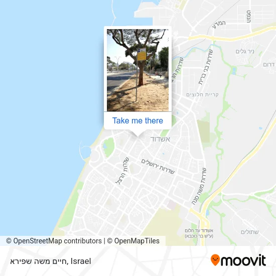 Карта חיים משה שפירא