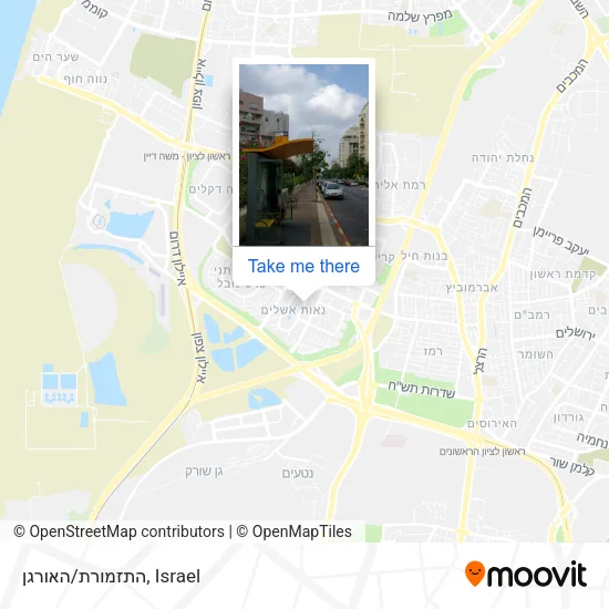 Карта התזמורת/האורגן