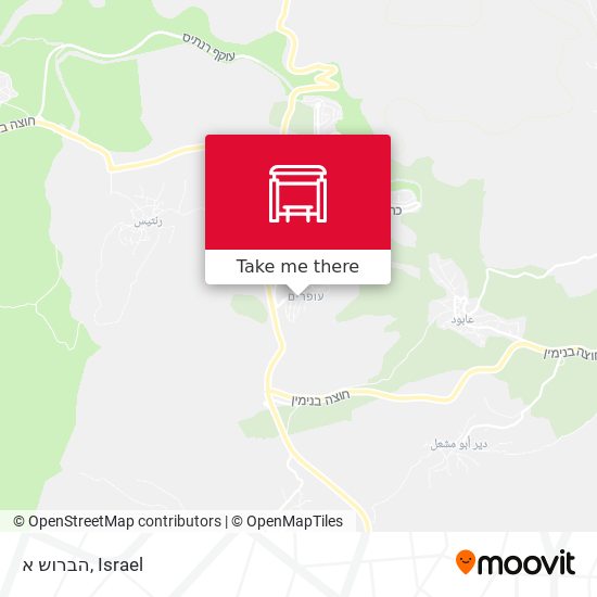 הברוש א map