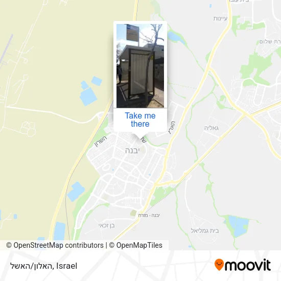 Карта האלון/האשל