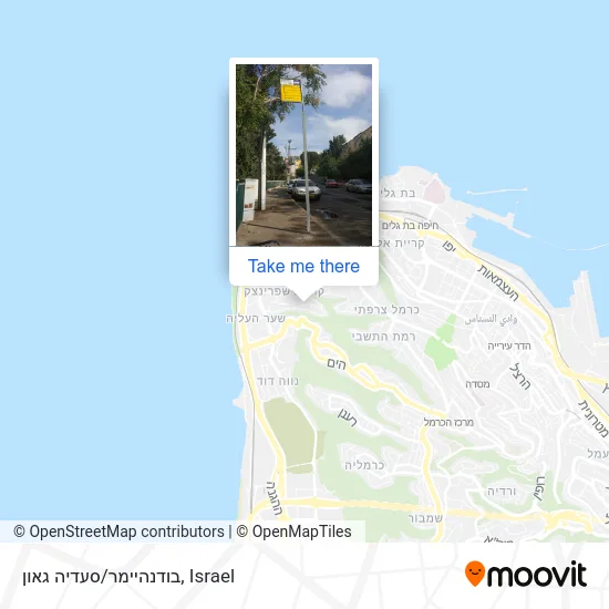 Карта בודנהיימר/סעדיה גאון