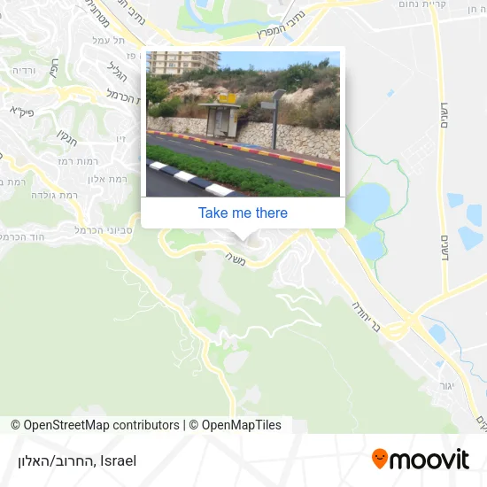 Карта החרוב/האלון