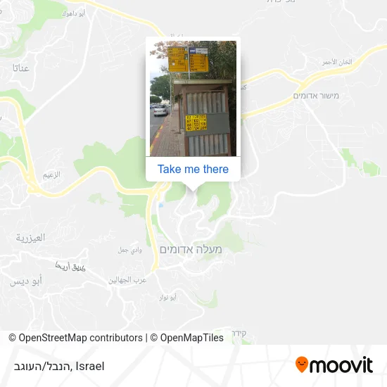 Карта הנבל/העוגב