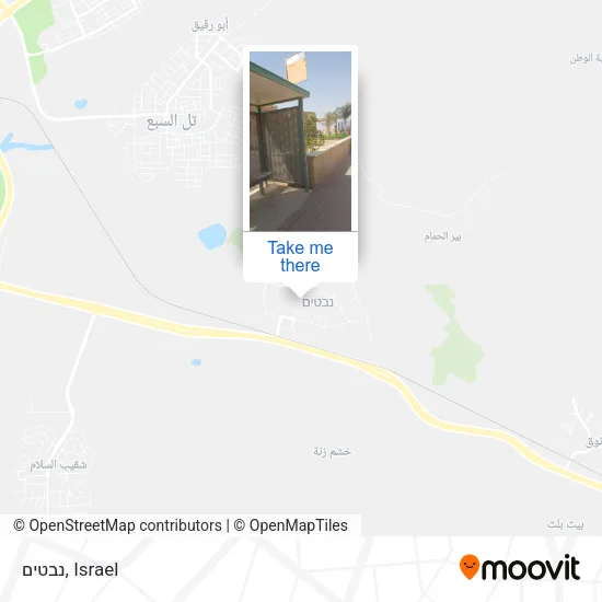 Карта נבטים