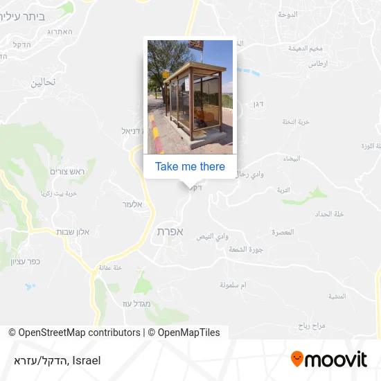 Карта הדקל/עזרא