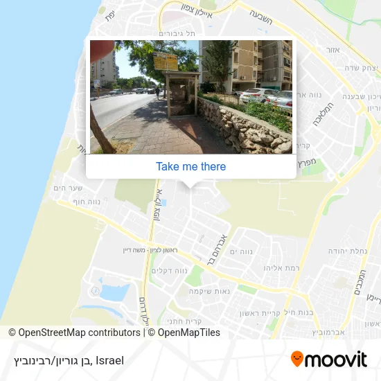 Карта בן גוריון/רבינוביץ