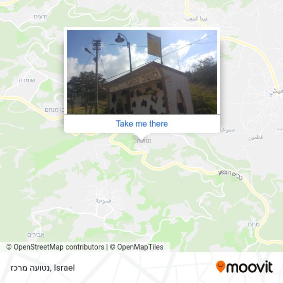 Карта נטועה מרכז