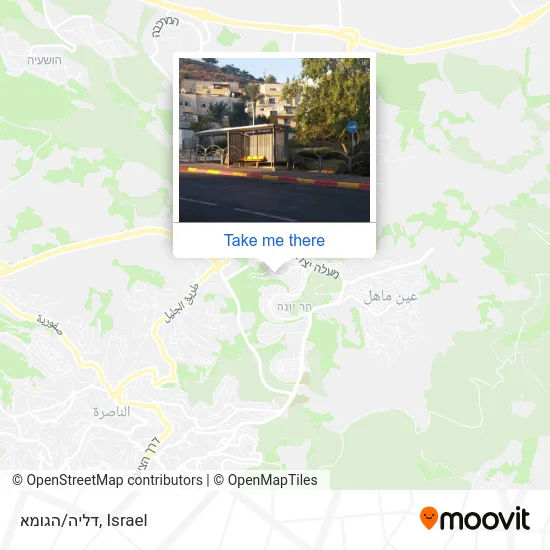 Карта דליה/הגומא