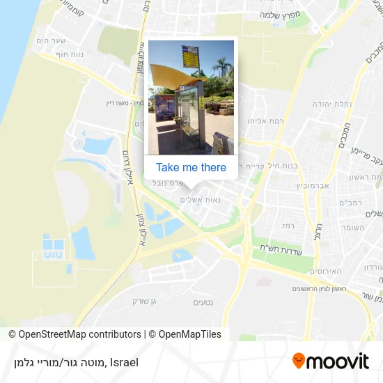 Карта מוטה גור/מוריי גלמן