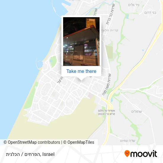 Карта הפרחים / הכלנית