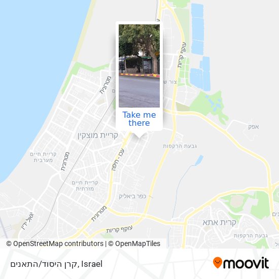 Карта קרן היסוד/התאנים