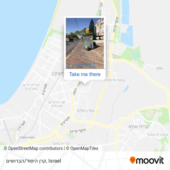 Карта קרן היסוד/הברושים