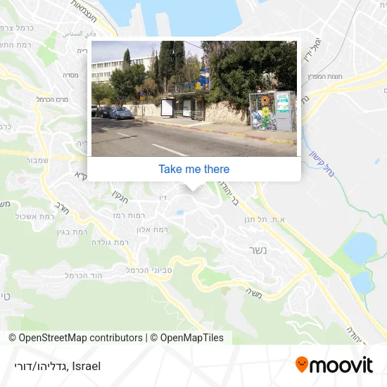 Карта גדליהו/דורי