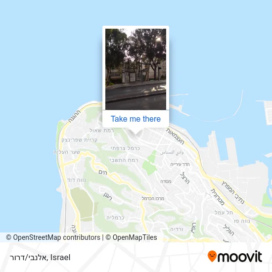 Карта אלנבי/דרור