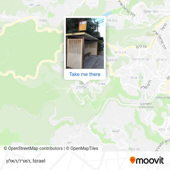 Карта הארז/האלון