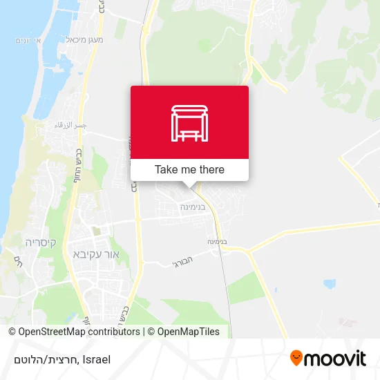 Карта חרצית/הלוטם