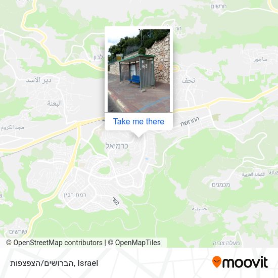 הברושים/הצפצפות map