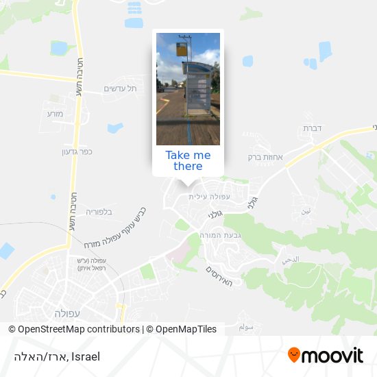 ארז/האלה map