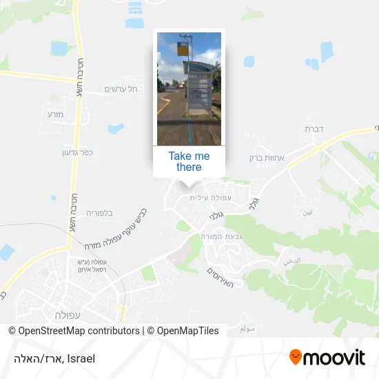 Карта ארז/האלה