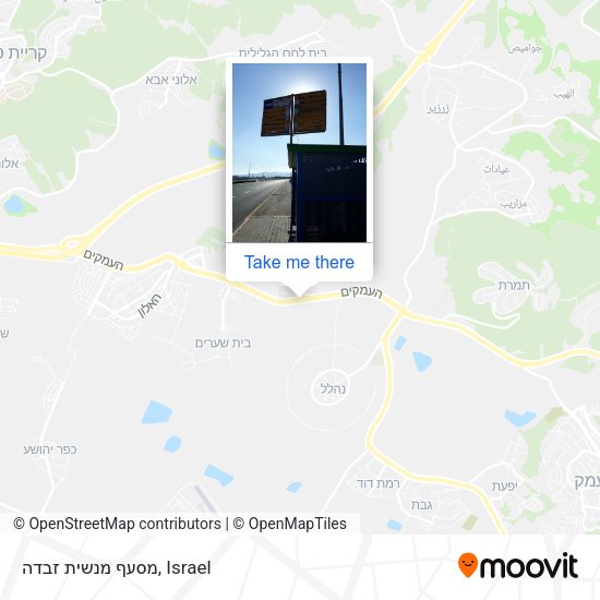 מסעף מנשית זבדה map