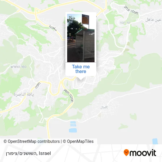 Карта השושנים/ציפורן