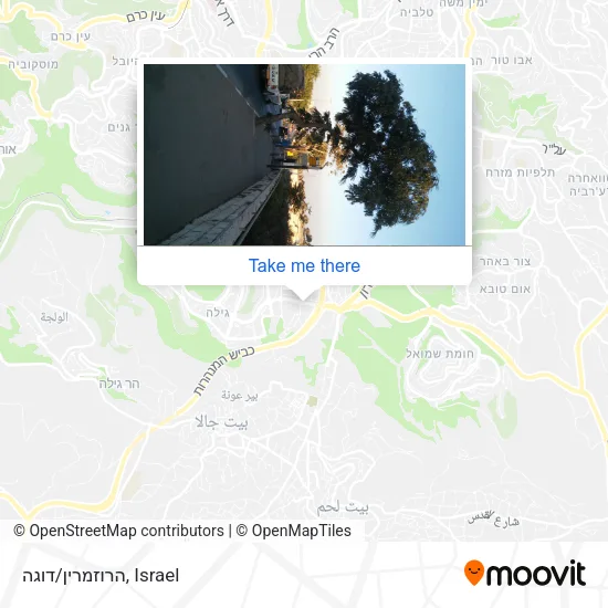 Карта הרוזמרין/דוגה