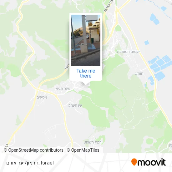 Карта חרמון/יער אודם